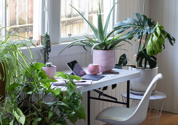 Work from home office with potted house plants